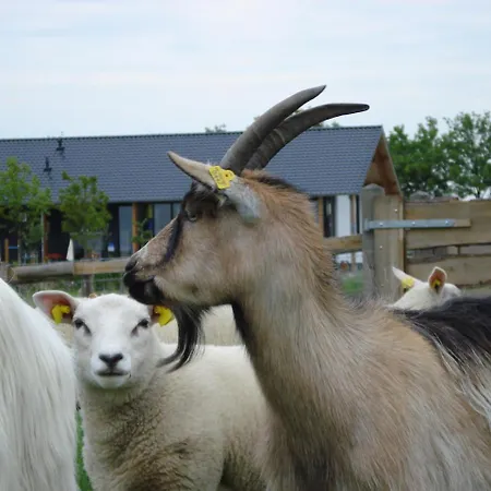 Fruitpark & 4* Ochten