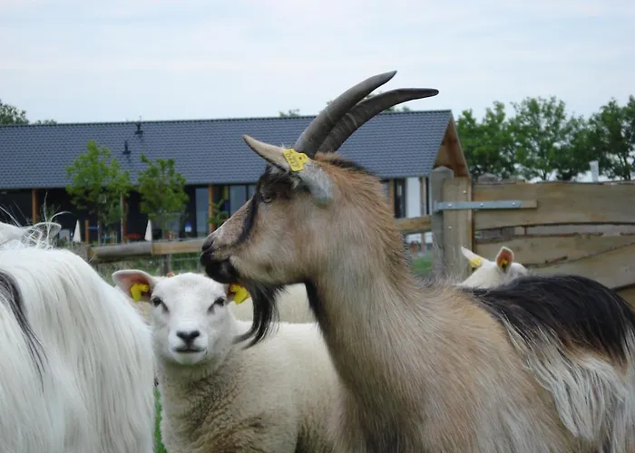 Fruitpark & 4* Ochten