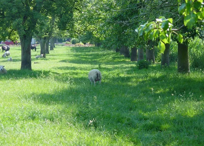 Hotell Fruitpark & 4*