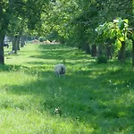فندق Fruitpark & 4*