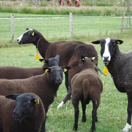 ホテル Fruitpark & 4*