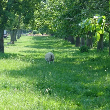 ホテル Fruitpark & 4*