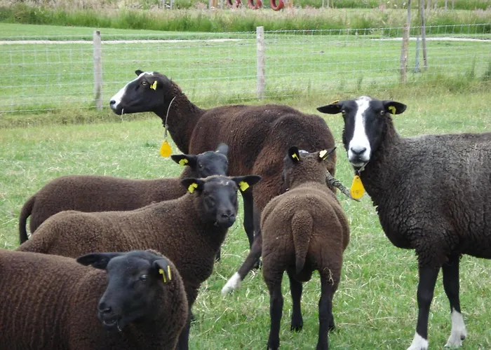 מלון Fruitpark & 4*