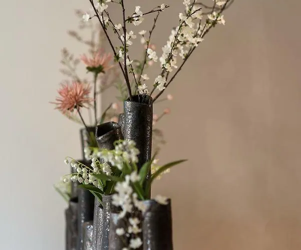 Fruitpark & מלון 4*